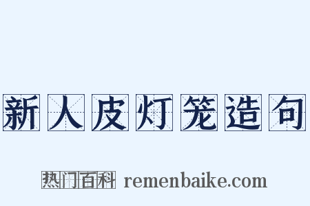 新人皮灯笼造句是什么意思的图片